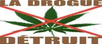 Le cannabis chez les jeunes