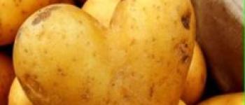 Vente de pomme de terre